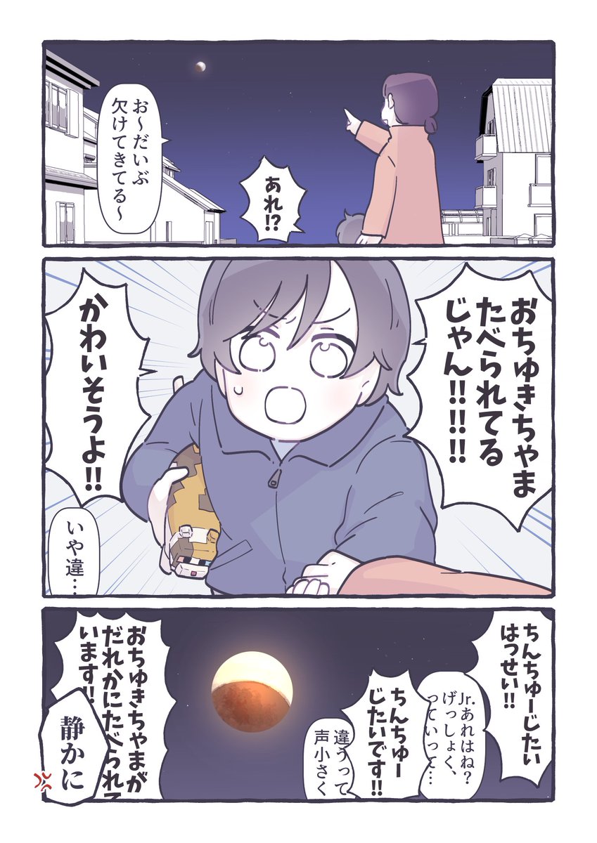 月蝕と3歳児 