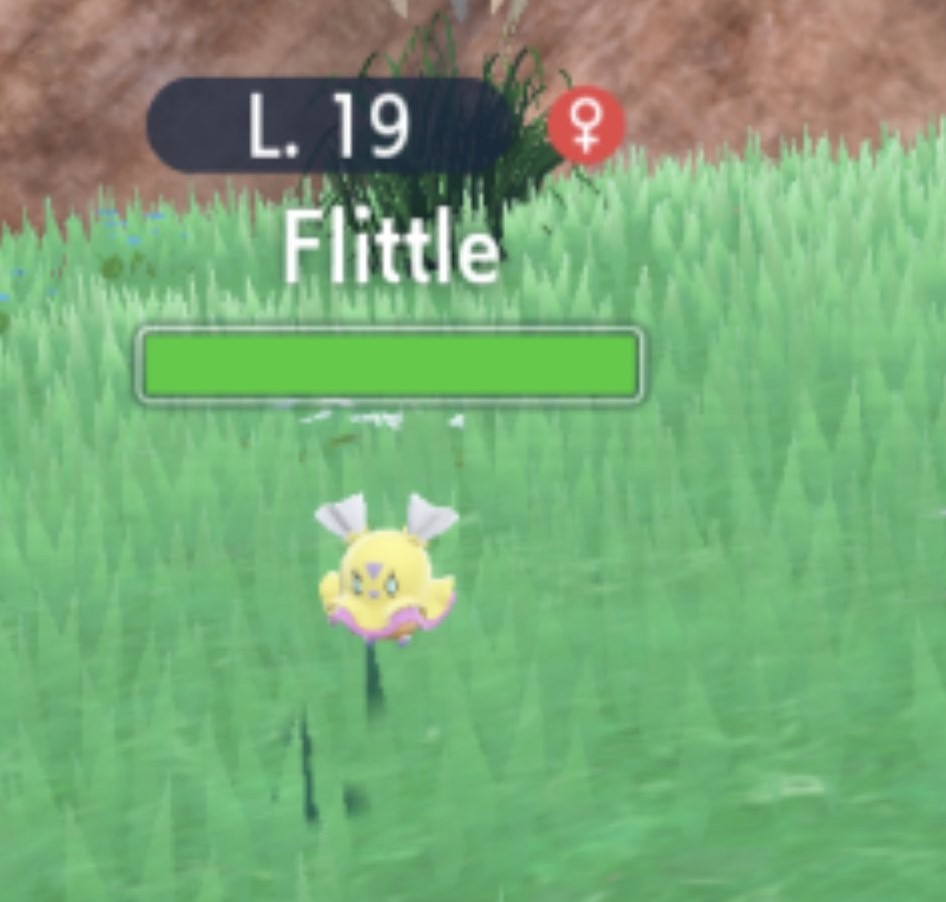 Flittle, pre-evolución del Pokémon avestruz.

pokemon-project.com/escarlata-y-pu…