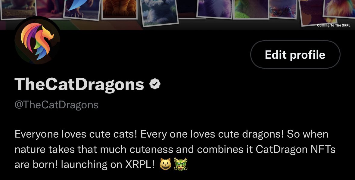 I think I’m now part of the #blueTick cool club? 😁