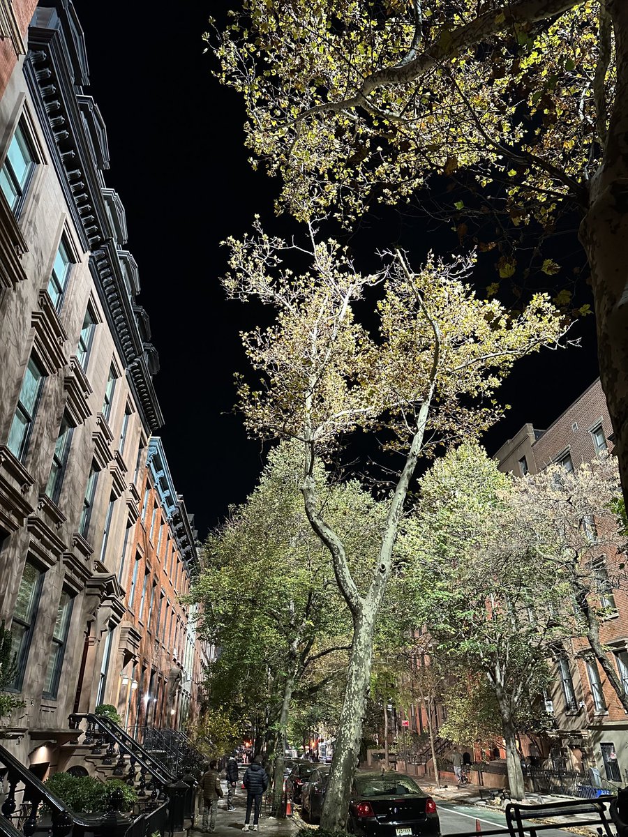 Daytime on a planet with no atmosphere. Bright sunny day, black sky.