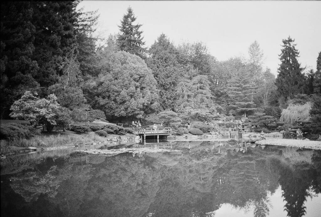 stirwise's tweet photo. A walk in the garden
.
.
#japanesegarden #seattle #bandw #monochrome #analog #filmisnotdead #35mm #delta400 #df96 #homelab #leicaclfilm #mrokkor40mm https://t.co/EOlGSyUZ2S