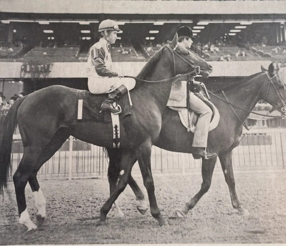 HORSERACING1002's tweet photo. SILENT SCREEN🇺🇸 1967
(PRINCE JOHN - PRAYER BELL BY BETTER SELF)#SilentScreen
B. Vespo PR Noviello (NY) Apr 23, 1967
O Elberon Farm
T> J. Bowod Bond
KEEJAN 1967 37,000 dls
18-7-2-4 with 514,388 dls
1969 🏆 2 Year old Colt https://t.co/sgfmocn7sU