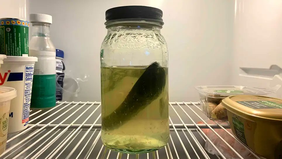 TheOnion's tweet photo. Last Pickle Delighted To Finally Have Whole Jar To Self https://t.co/Wtu3ZCIKrh https://t.co/GwgZwV8aOf