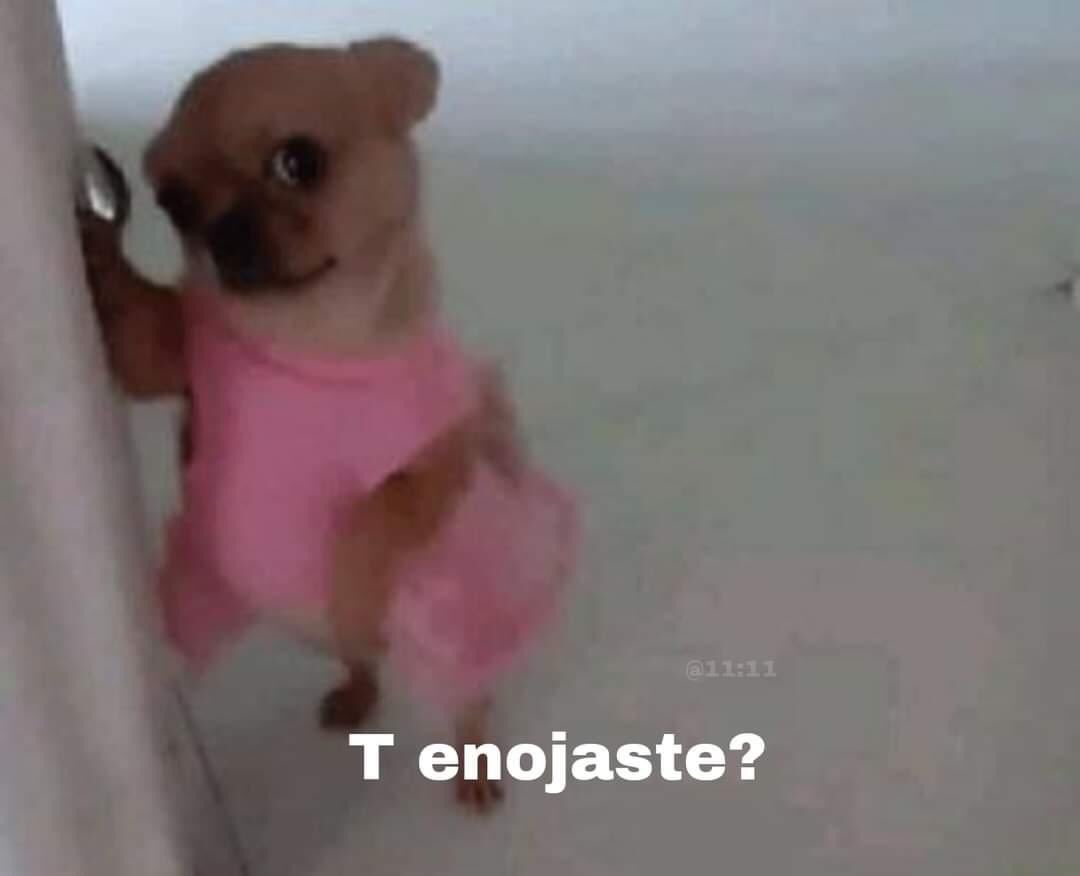 Guarromantico_ tweet picture