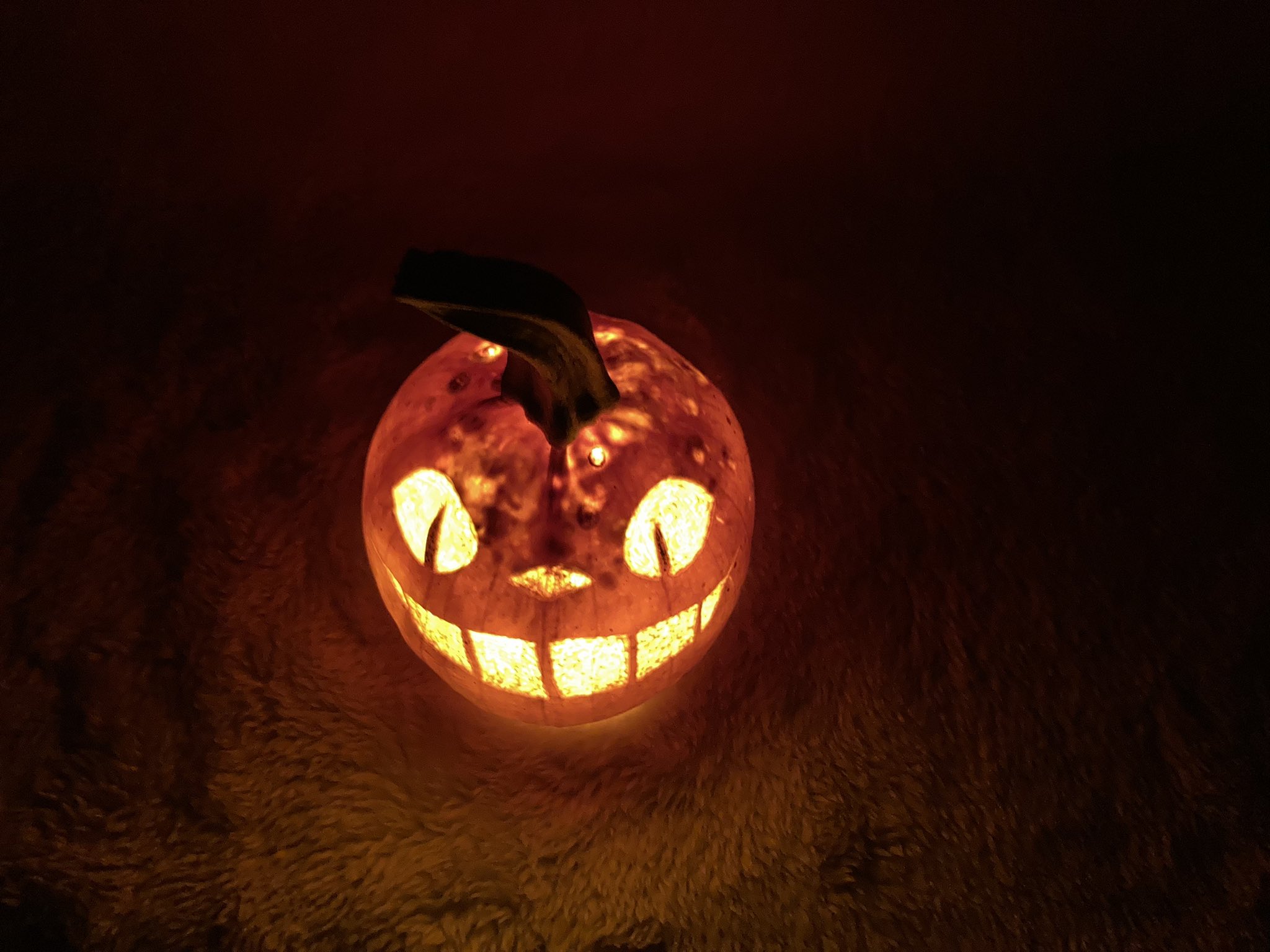 猫バス Twitter Search Twitter