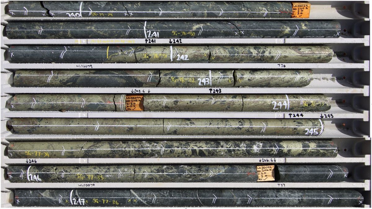 PEX: Wirlong yeilds strong copper hits ahead of resource update - INCLUDING 82m @ 2.07% Cu, 5g/t Ag from 425m (WLDD077) &amp; 15m @ 6.79% Cu, 19g/t Ag from 240m (WLDD079)  mailchi.mp/1671e2366e86/m…