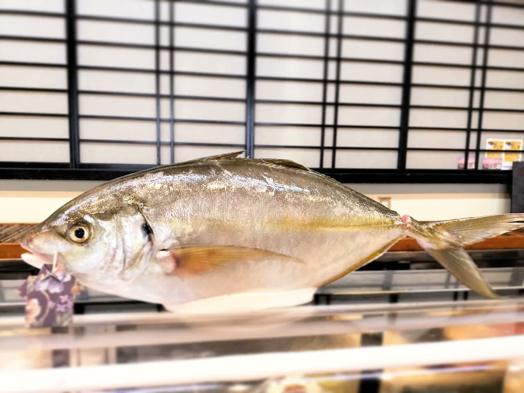 男前みよし鮨 tweet media