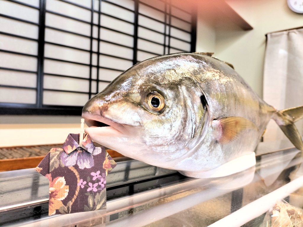 男前みよし鮨 tweet media