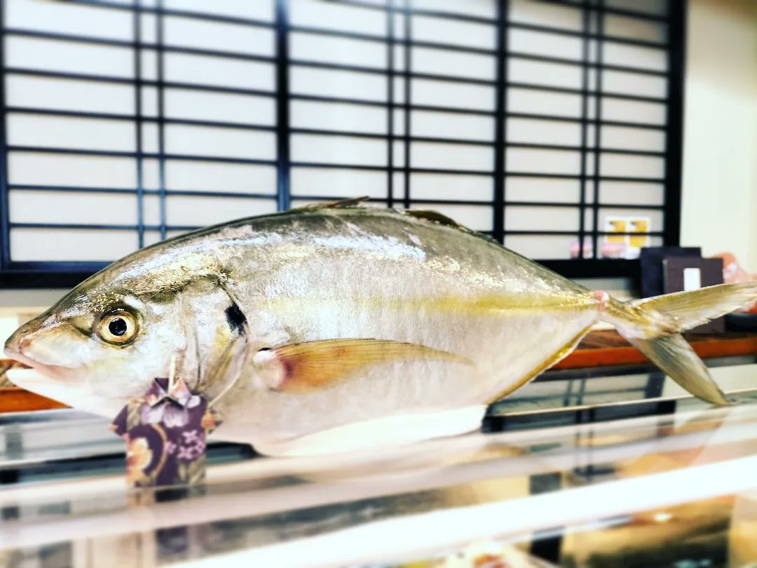 男前みよし鮨 tweet media