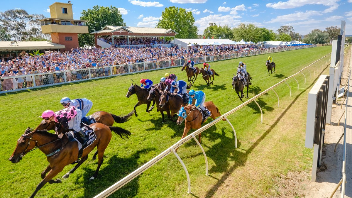 VisitAW's tweet photo. The bet365 Wodonga Gold Cup is only one week away! 🏇
Get your tickets now and enjoy the best of what @racingwodonga has to offer!
📅 Friday 25 November
🕚 Gates open at 11.00am
📍 Wodonga Racecourse
🎟 https://t.co/XoEmtjRPsl
#racing #wodongagoldcup #visitaw https://t.co/pwBTXyd5fg