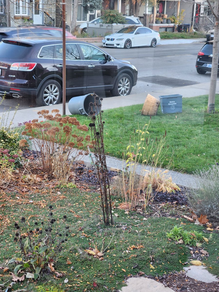 vraghavan73's tweet photo. @311Toronto what is up with the city garbage crew that they keep missing our pickup? Today it is yard waste. Our neighbour's was picked up, but not ours. A 2nd crew just drove right past it a few minutes ago. https://t.co/62jeaIvhRB