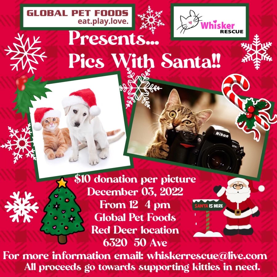 WhiskerRescueAB's tweet photo. Please save the date! Ho Ho Hope to see you there! πβ€οΈ #fundraiser #picswithsanta #supportinglocalrescues https://t.co/U8hABJlrSu