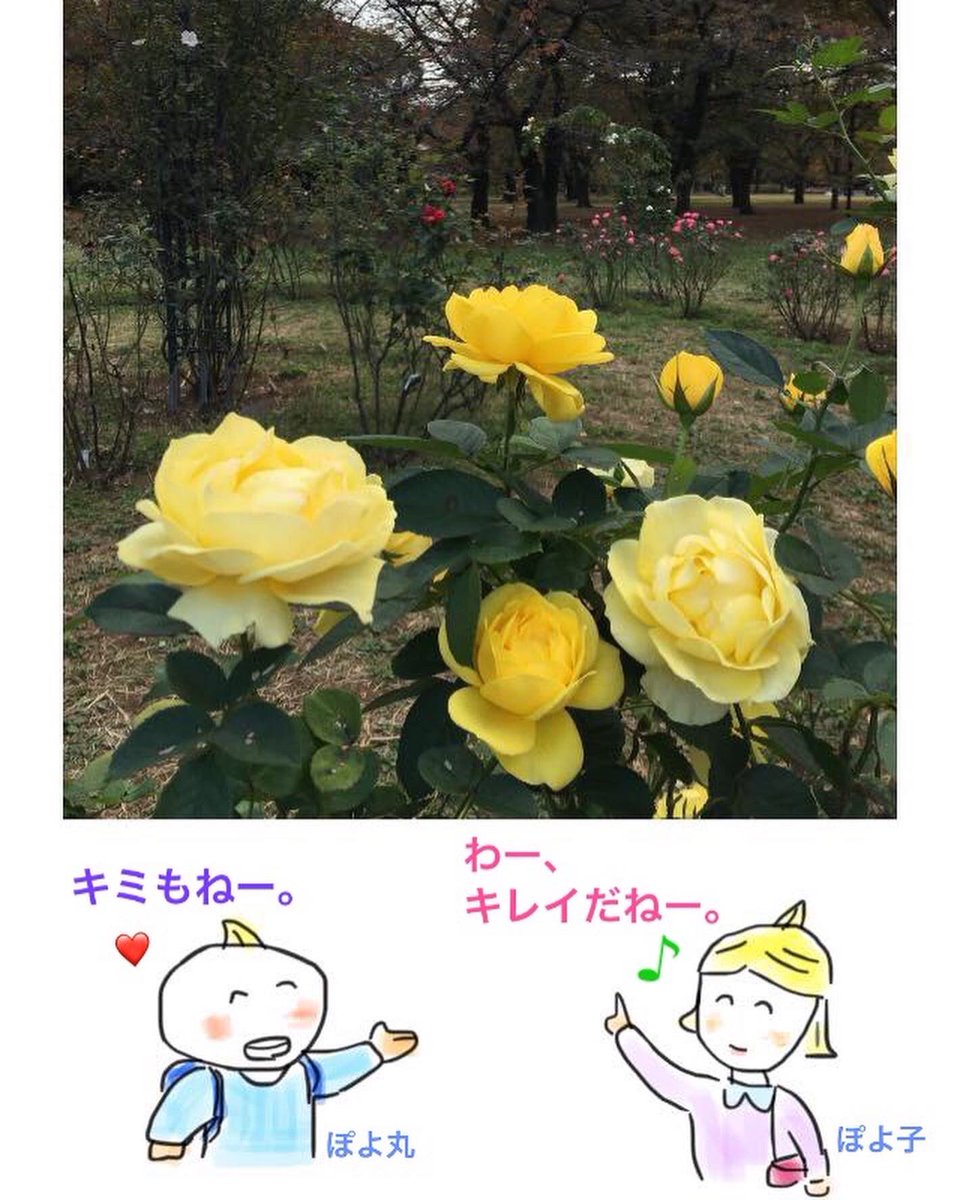 8MFon7QkUCeC1fd's tweet photo. 秋の代々木公園を散歩する二人。
皆さん、今日も良い一日を。
.
From the Yoyogi-park.
Have a good day.
.
#代々木公園 #秋の気配
#autumnfeeling
#beautifulpark https://t.co/By8Kwi1AV0