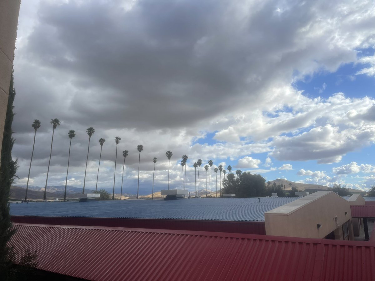 Jenny Medeiros tweet media