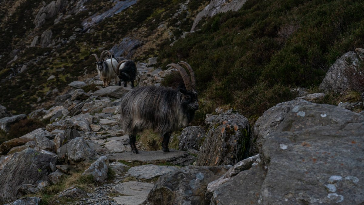 Innov8 Digital Media Video Production tweet media