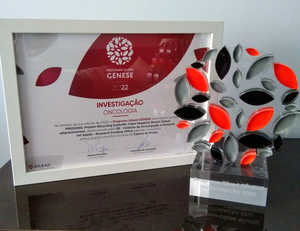 Sandra Tavares tweet media