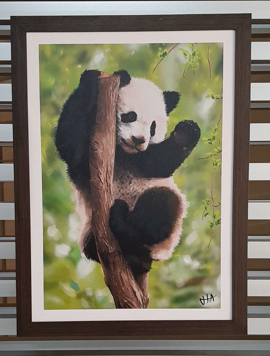 HectorAlef's tweet image. Quadro finalizado *-*