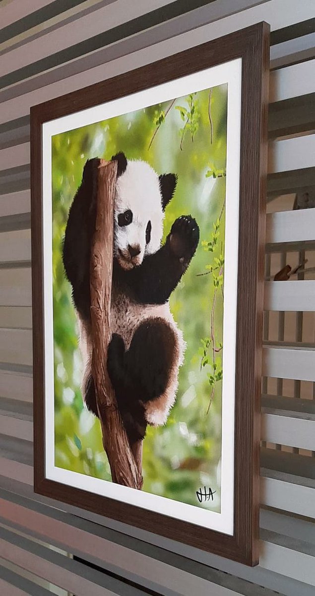 HectorAlef's tweet image. Quadro finalizado *-*