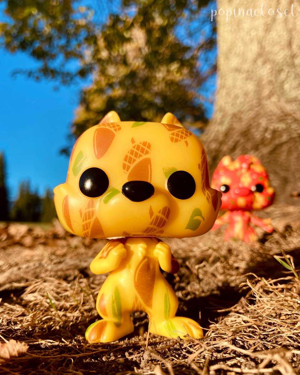 QuennG_'s tweet photo. Day 3 of November @funko #FunkoPhotoADayChallenge #popart https://t.co/STlTjXewkM