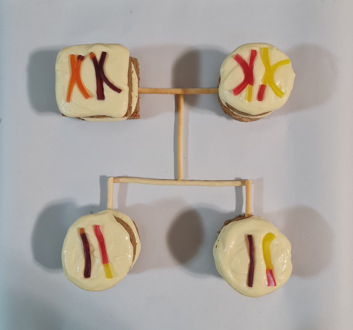 Michelle Bowman (she/her) 🌈🧬🌏 tweet media