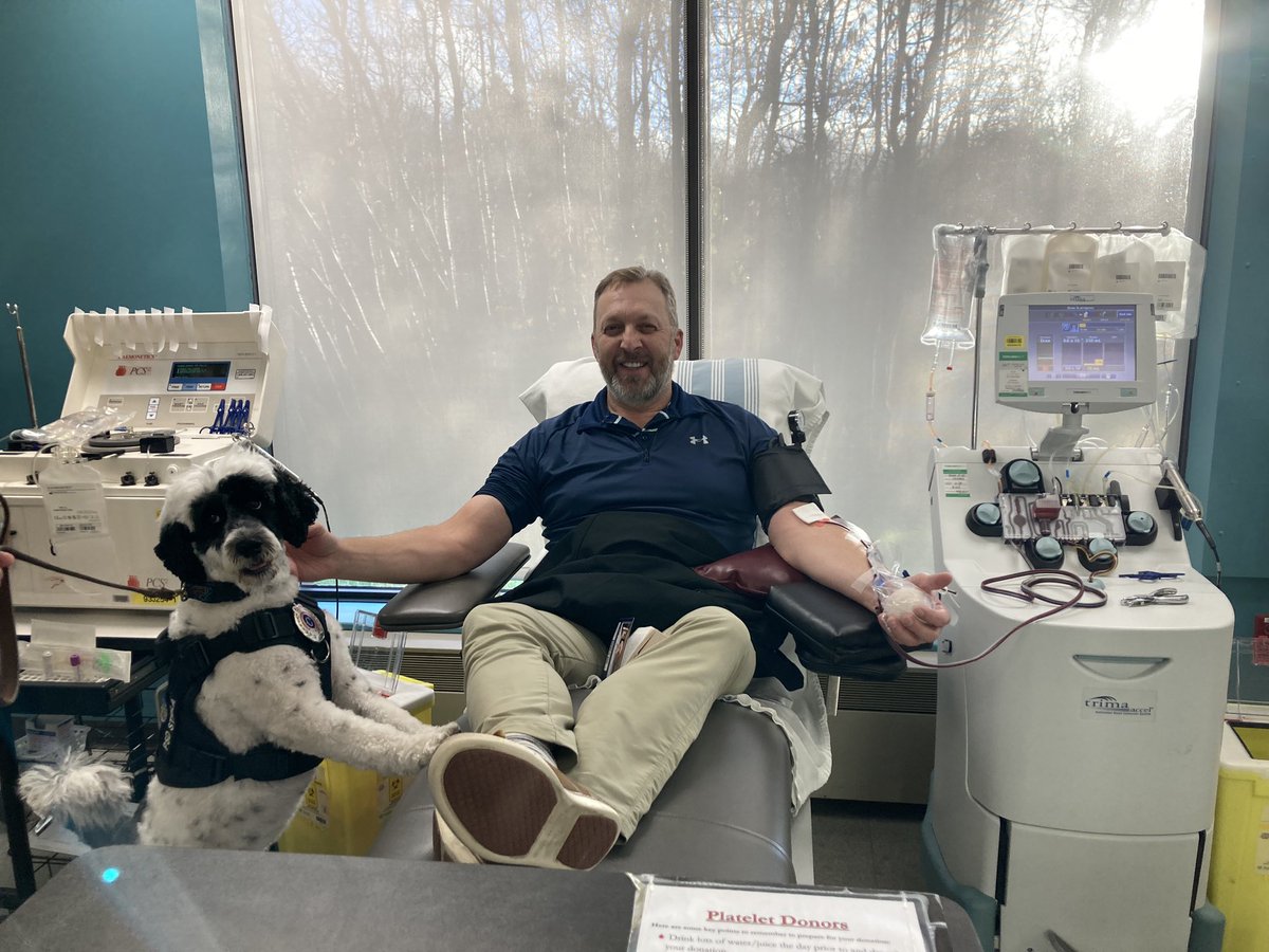 I had an interesting visit to Canadian Blood Services today while donating platelets and plasma. I had the pleasure of meeting Stella for the first time. Quite the beautiful dog! She certainly had everyone’s attention! 😁