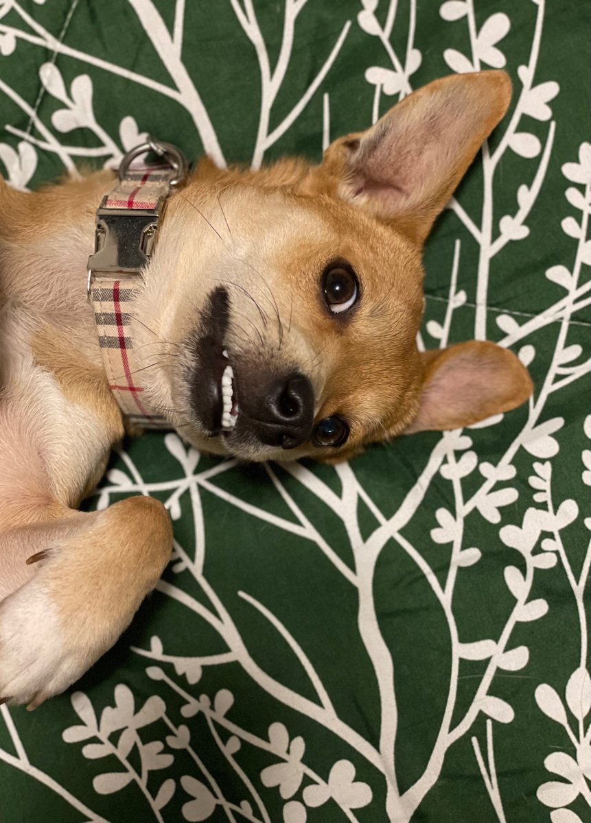 He’s very photogenic.