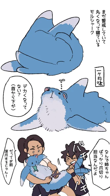 モルシャークだぞ 
