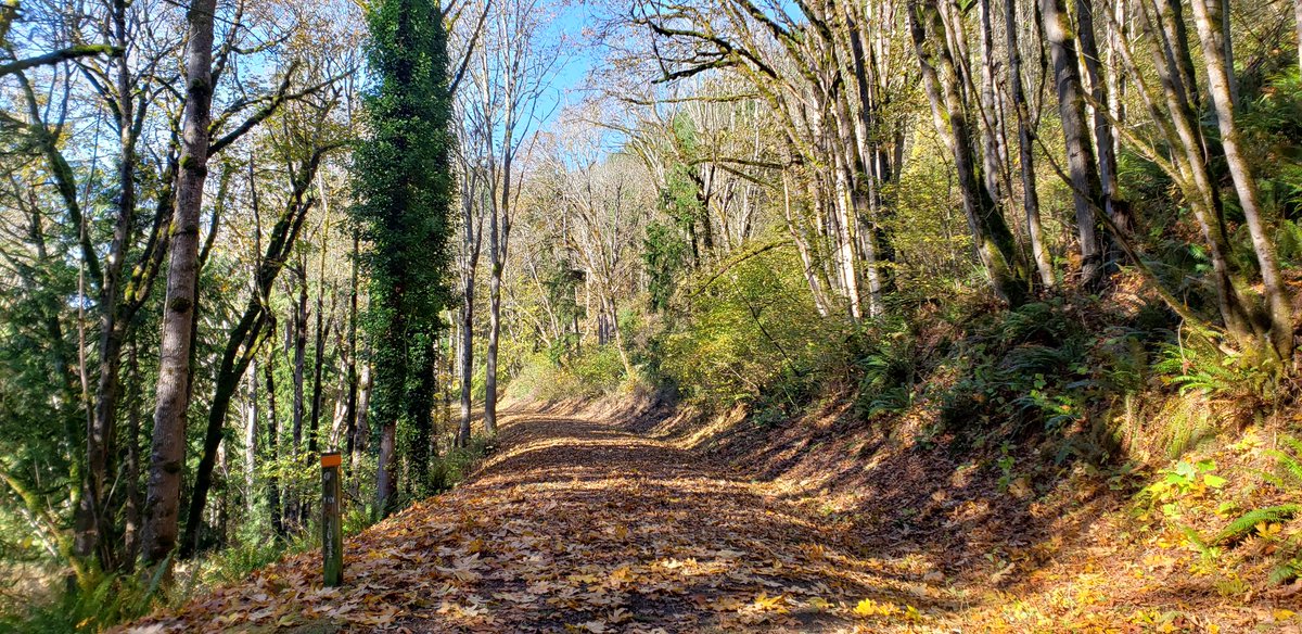 dwevanscar's tweet photo. Today's walk! https://t.co/ExVRZ9sKgw
