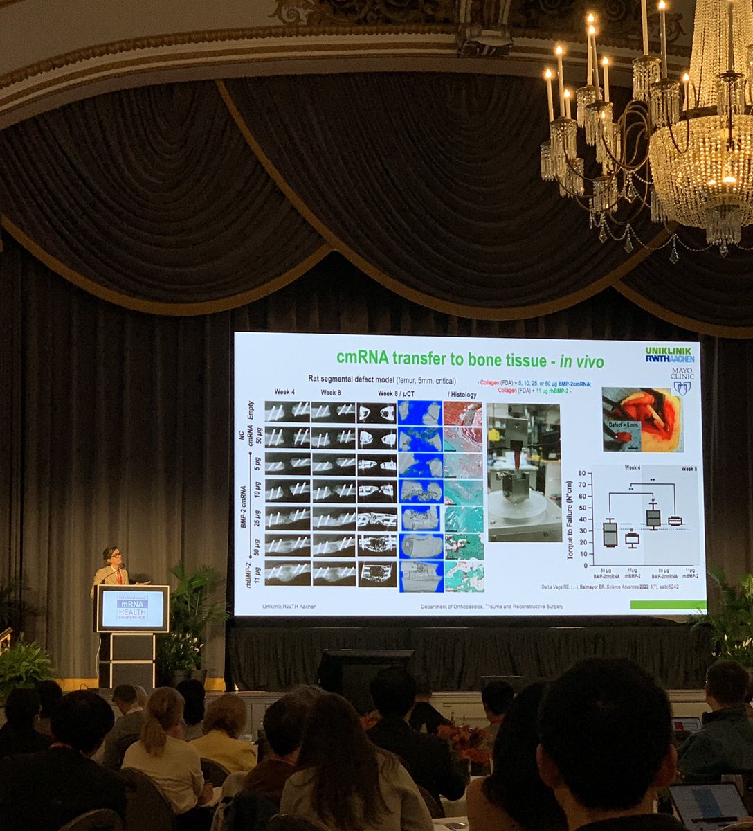 Katie McCormick (@_katiemcc_) on Twitter photo Fantastic presentation by <a href="/er_balmayor/">Elizabeth R Balmayor</a> on the huge potential of #mRNA therapeutics in bone tissue engineering at <a href="/mrnaconference/">International mRNA Health Conference</a> in Boston today! Fantastic presentation by <a href="/er_balmayor/">Elizabeth R Balmayor</a> on the huge potential of #mRNA therapeutics in bone tissue engineering at <a href="/mrnaconference/">International mRNA Health Conference</a> in Boston today!