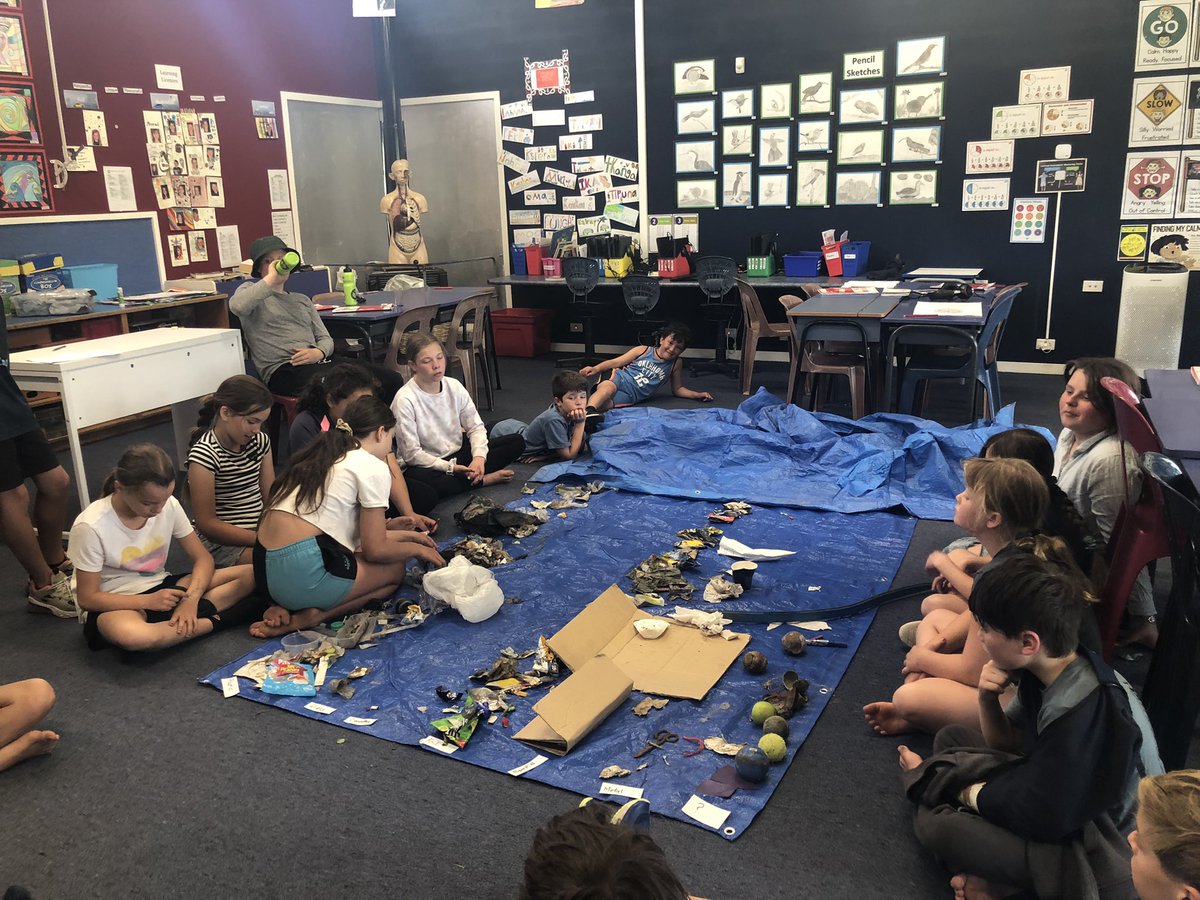 Dianne Christenson tweet media