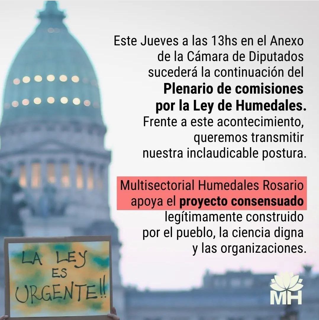 Coordinadora Basta de Falsas Soluciones tweet media