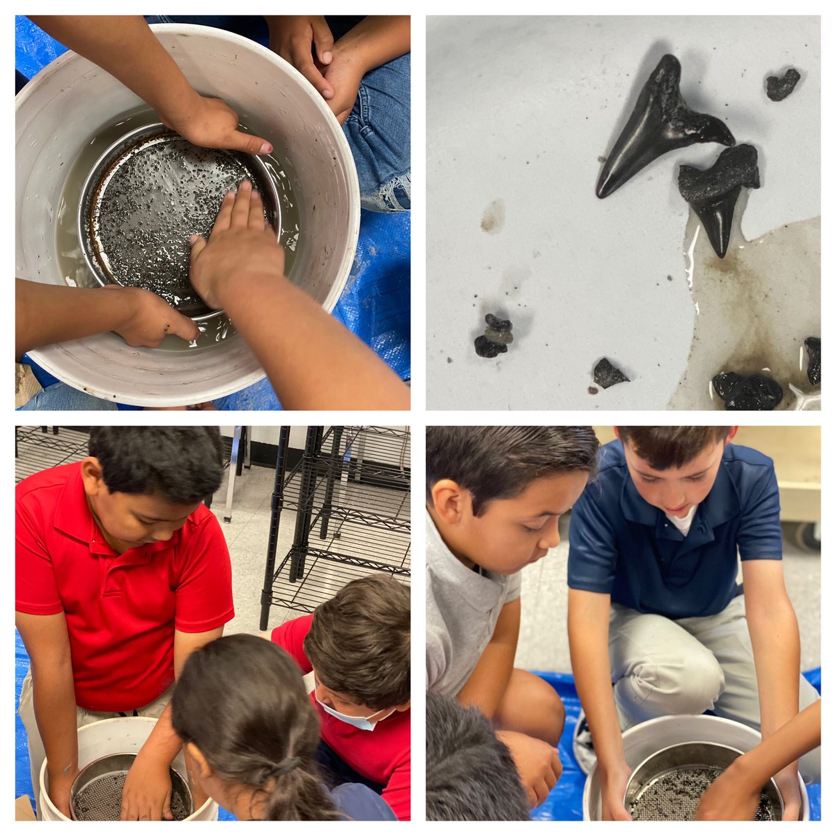 Erika Pocaterra, NBCT tweet media