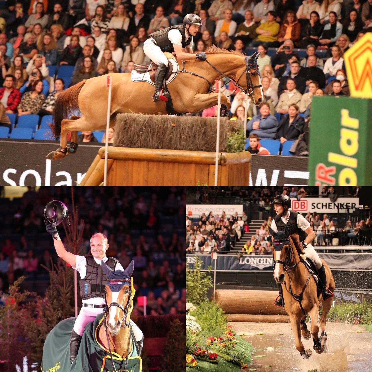 Le KING, Michael Jung, remporte le cross indoor du German Master de Stuttgart 🤟🔥😎💪🏻

🐎 Résultats ➡️ stuttgart-german-masters.de/en/start-lists…

Crédit photo. : Stuttgart German Masters