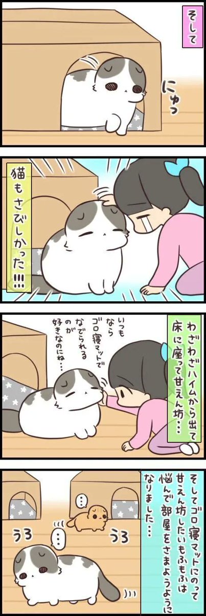 猫様お気に入りの居場所を作ったのは良いけれど【連載】もふもふスコたん#251|ねこのきもちWEB MAGAZINE https://t.co/zP7VG5igoE 