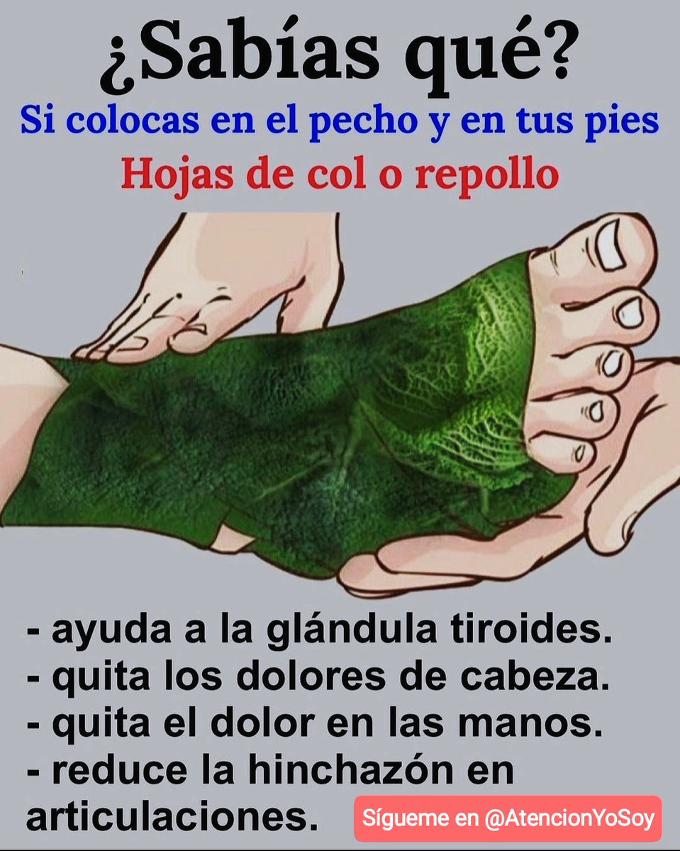 🙏✨💫🌞Tip Salud🌞💫✨🙏

¿Sabías qué?

*Regálame un Gracias para saber que me lees y te gusta mi contenido*