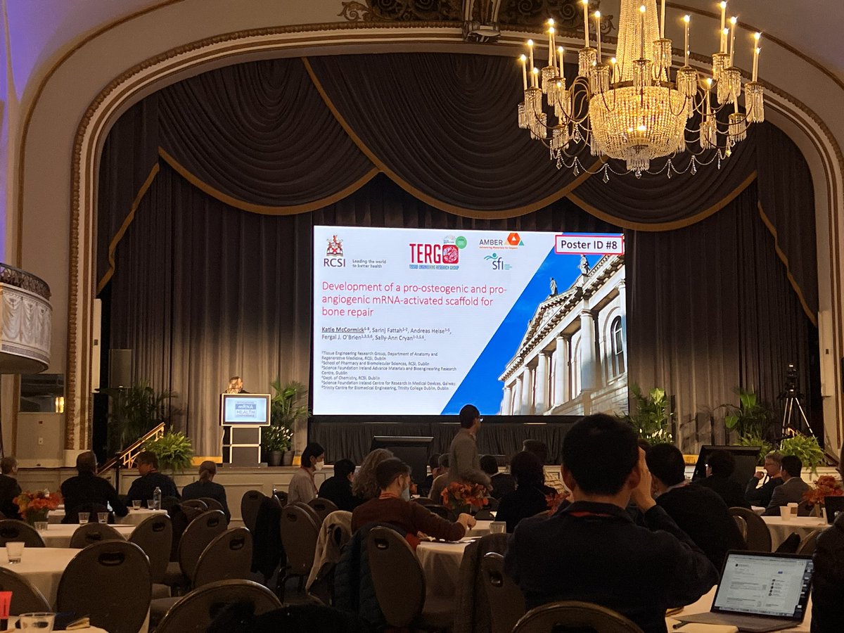 Elizabeth R Balmayor tweet media