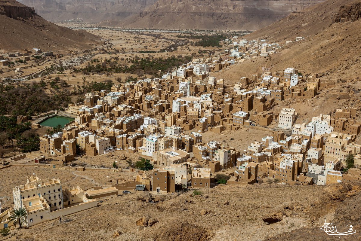 أبو غيث العمودي tweet media