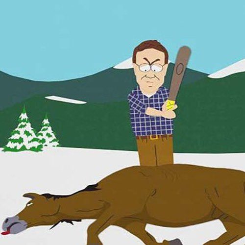 Lindsay Masse tweet media