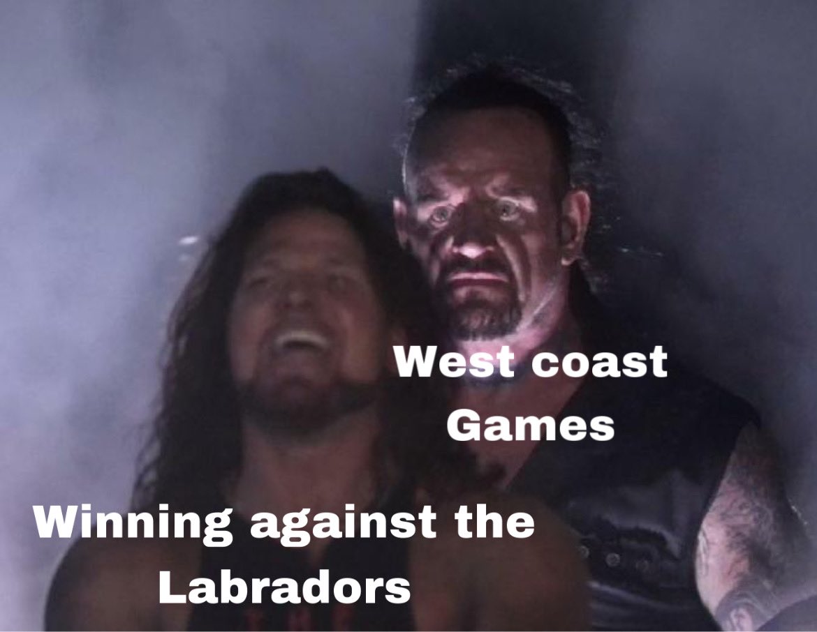 Newfoundland Fighting Labradors tweet media