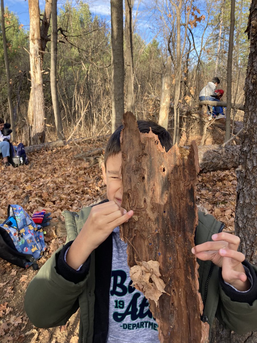 Our first Forest Walking Trip was a huge success. We will be going again soon. So much learning outdoors 🌲<a href="/OCDSB/">OCDSB</a> <a href="/ShingwakonsPS/">Shingwàkons Public School</a>
