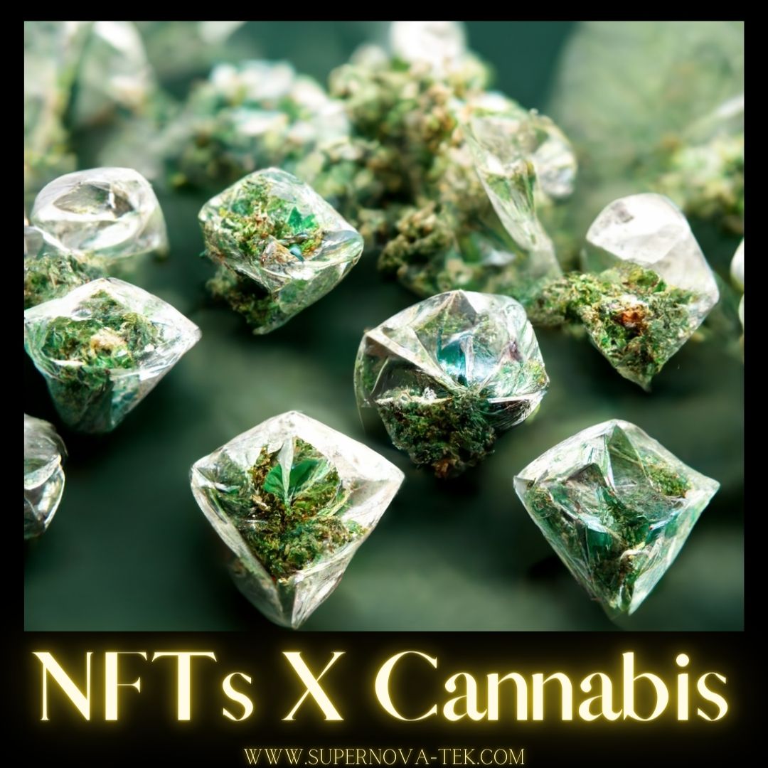 Supernova_TeK's tweet image. 🌬️NFT's X Cannabis!

🤑Join Supernova Tek as we bring our 🕸️Web2 cannabis tech company into the 🕸️Web3 space!

#NFTs #Cannabis #WaterHash #SupernovaTek