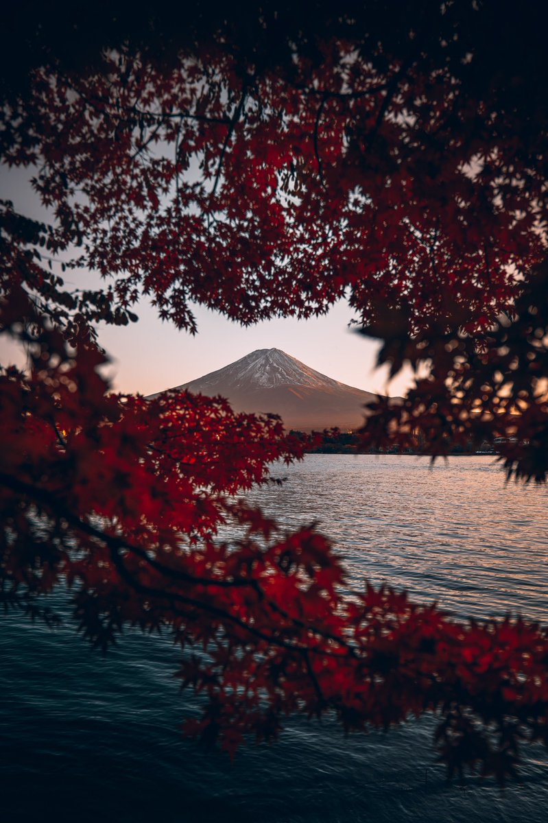 opticalwander's tweet photo. Fall at Mt Fuji 🗻 #photograghy #photographer #japan #travel #opticalwander https://t.co/9NYe7xA6N7