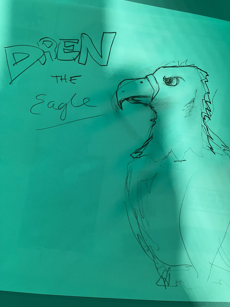 dren xërxa tweet media