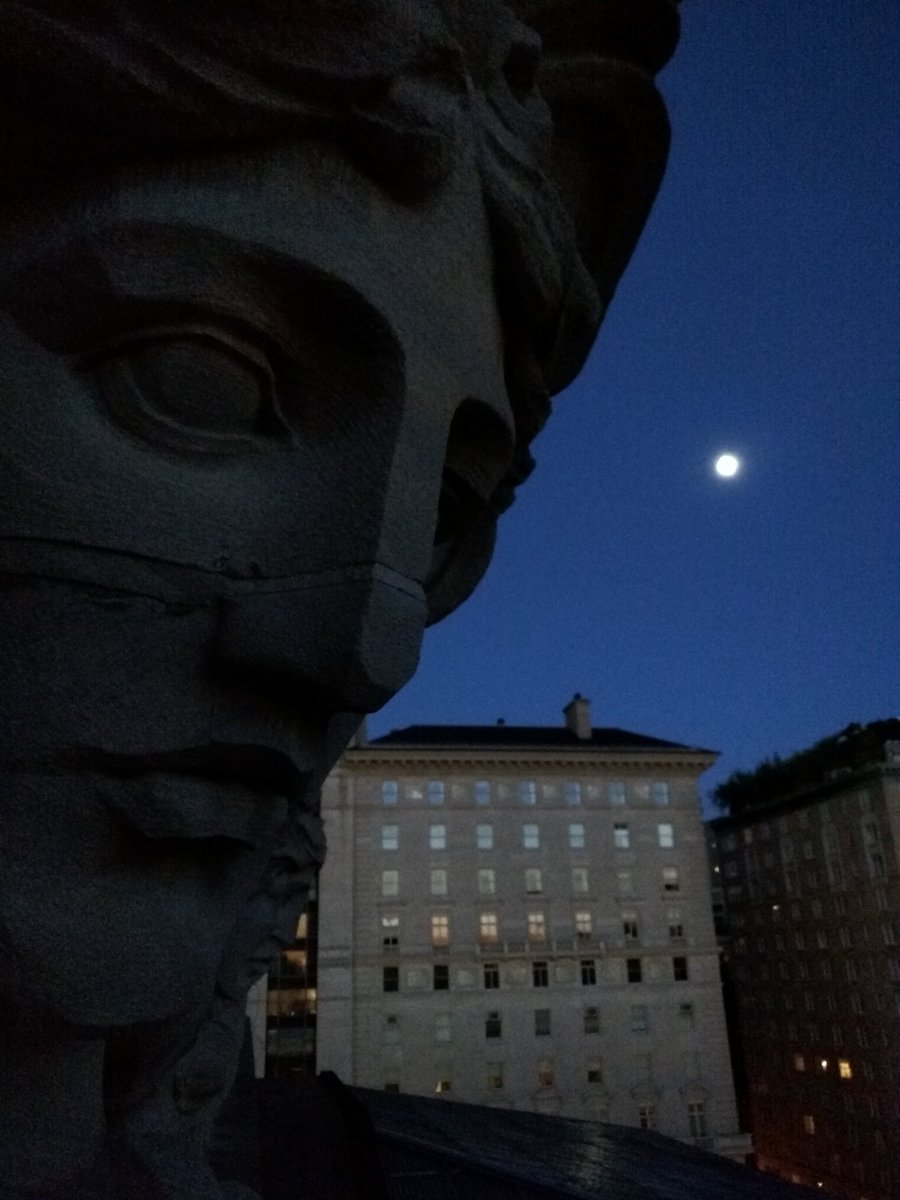 PhyllisASears's tweet photo. @vinyzocute @DustinGrowick #EmptyMet is definitely a treat!
Find the staff-only roof deck while you're exploring. https://t.co/zLCfk1acFV