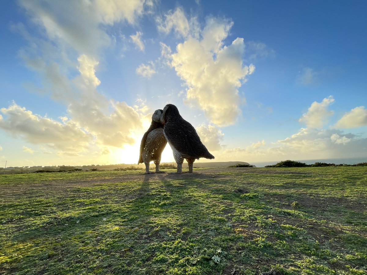 Môn Active tweet media