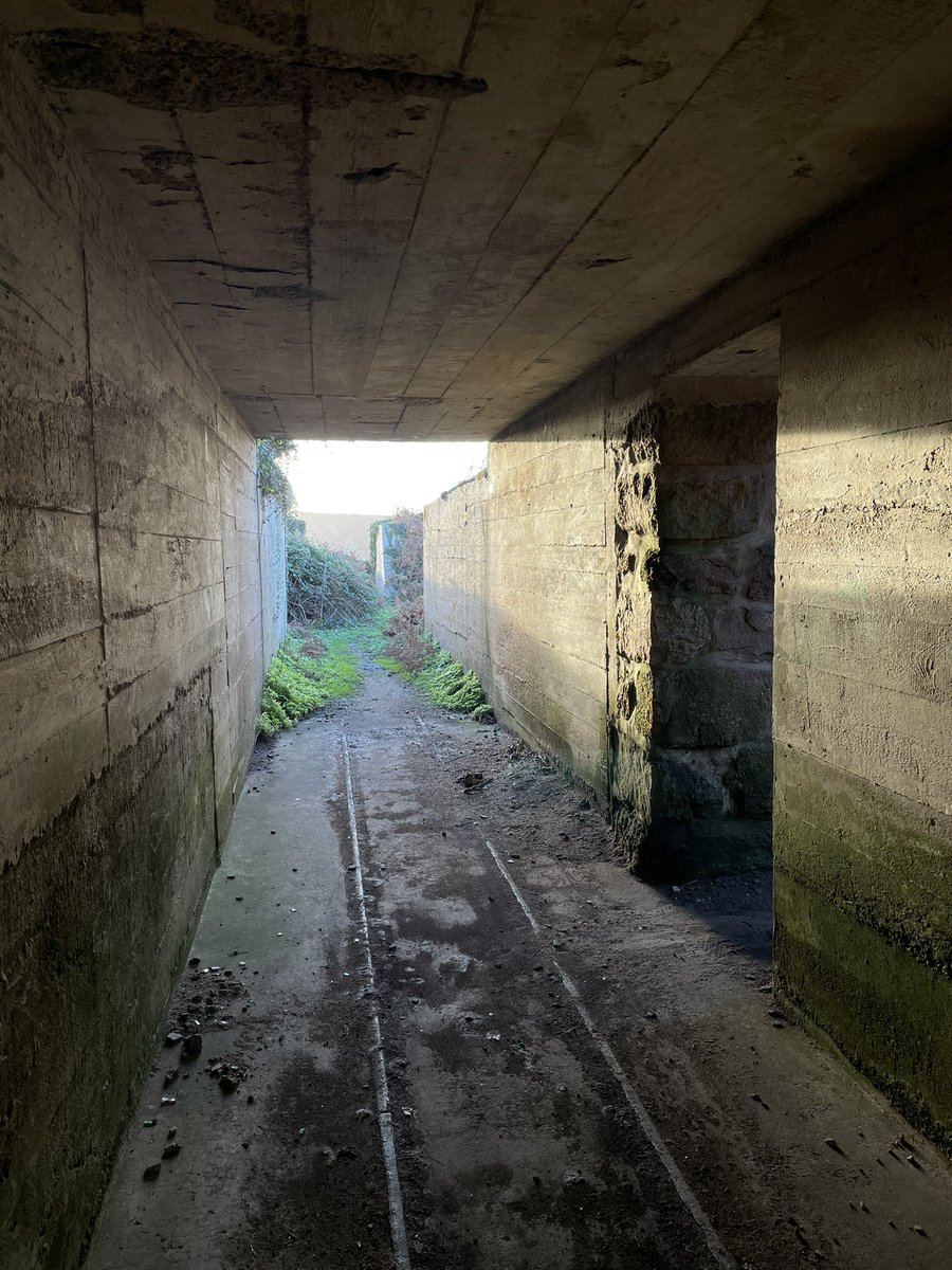 Great to visit the puffins at Plemont tonight and have a wonder around the German buildings there. <a href="/VisitJerseyCI/">Visit Jersey</a> <a href="/GovJersey/">Government of Jersey</a>