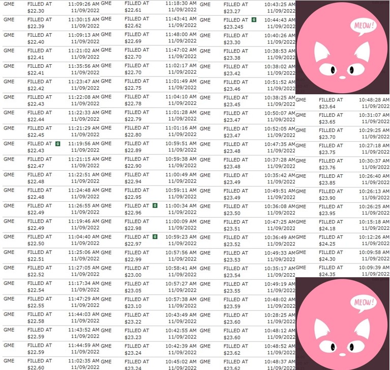 Pinkmeow3 tweet media