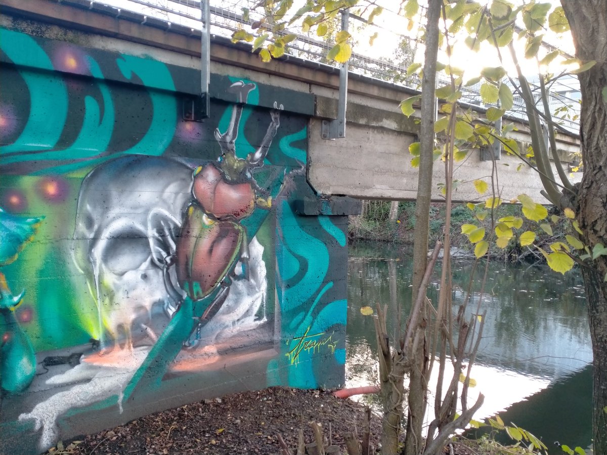 For all the crypto bros and sis. This is not a NFTs. This is free. It belongs to nobody and everybody at the same time 😁
Good to walk and look at the nature with all these bad news... 🌲😎🙏 Take it easy, you'll be stronger.