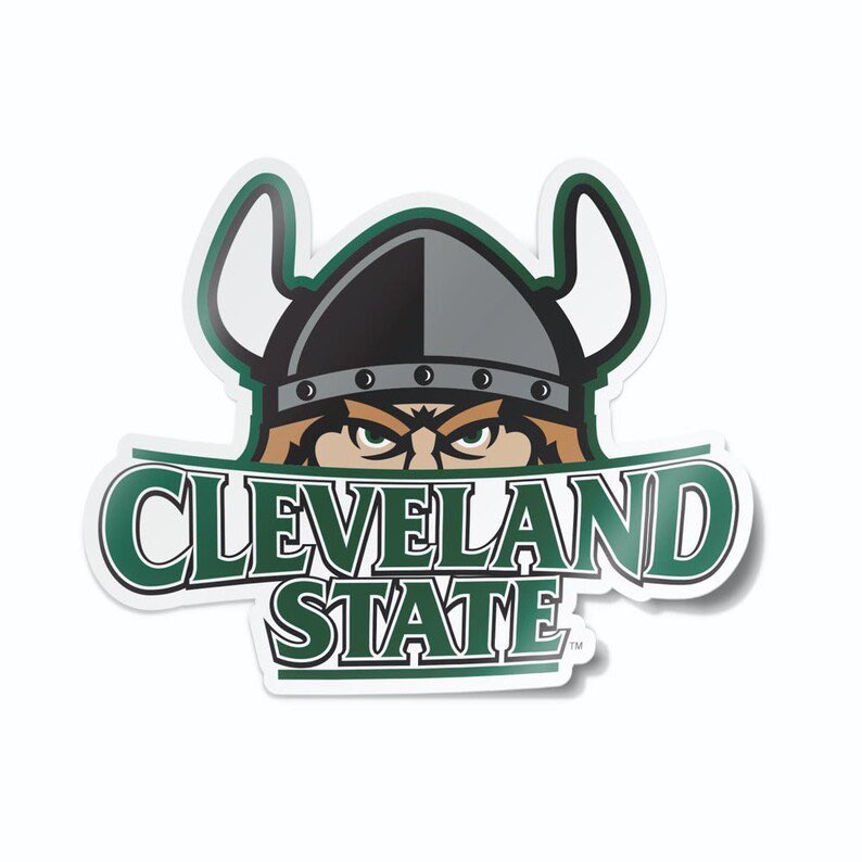 MarleyQueen2023's tweet photo. Officially a Viking!!! Thank you to everyone who helped me along the way💚🤍 @CSU_Softball @lookouts05 @Tallmadge_AD @Tallmadge_sball https://t.co/hSbJkTzKht