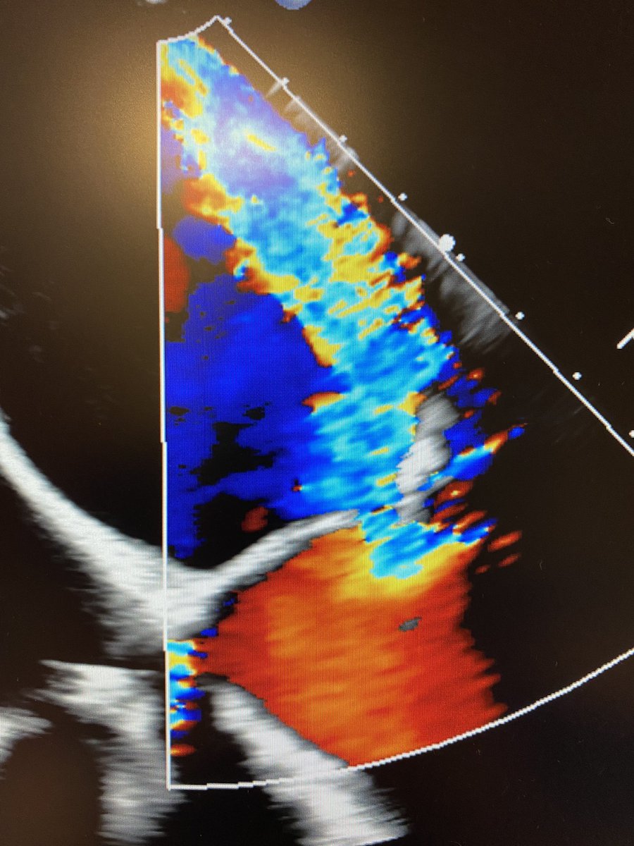G. Burkhard Mackensen tweet media